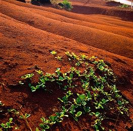 3DM速报：B站应用登陆PS5 《艾尔登法环》已送厂压盘