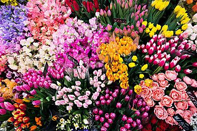 《十三机兵防卫圈》日本本土销量突破20万 官方发布贺图